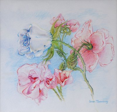 Rosas de la Mañana 2002 de Joan Thewsey